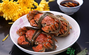海蟹什么時候最肥？海蟹什么時候吃最好？