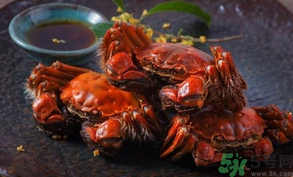 陽澄湖大閘蟹死了還能吃嗎？陽澄湖大閘蟹死了為什么不能吃？