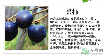 黑柿的營養(yǎng)價值及功效 黑柿怎么吃？