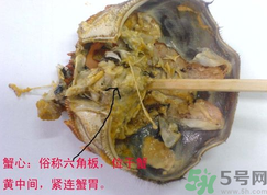梭子蟹哪些部位不能吃？梭子蟹哪些人不能吃？