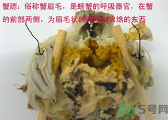 梭子蟹哪些部位不能吃？梭子蟹哪些人不能吃？