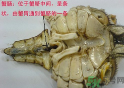 梭子蟹哪些部位不能吃？梭子蟹哪些人不能吃？