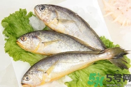 秋季適合吃什么魚？秋季吃魚的好處？