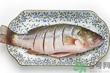 如何挑選新鮮魚？怎樣吃到不被污染的魚？