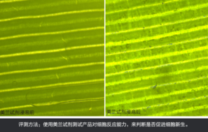 sk2大眼眼霜怎么樣？sk2大眼眼霜好用嗎？