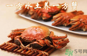 盤錦河蟹和陽澄湖大閘蟹的區(qū)別？盤錦河蟹和陽澄湖大閘蟹哪個(gè)比較好吃？