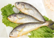 如何挑選新鮮魚？怎樣吃到不被污染的魚？