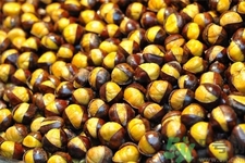 吃栗子會(huì)胖嗎？栗子吃多了會(huì)怎樣？