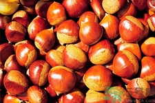 吃栗子會(huì)胖嗎？栗子吃多了會(huì)怎樣？