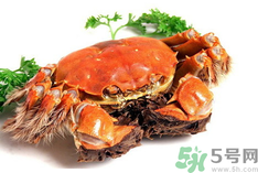 陽澄湖大閘蟹是河蟹嗎？陽澄湖大閘蟹和河蟹的區(qū)別