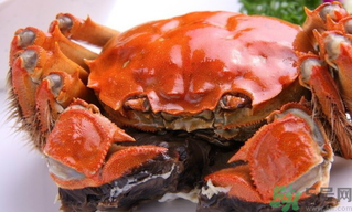 陽澄湖大閘蟹好吃嗎？陽澄湖大閘蟹為什么好吃？
