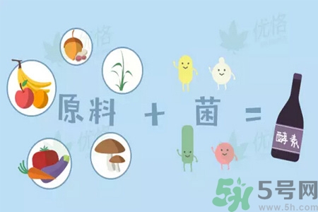 酵素是什么？吃酵素減肥有效果嗎？