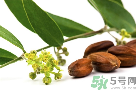 荷荷巴油可以直接擦臉嗎？荷荷巴油怎么去黑頭？