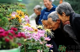 重陽節(jié)是陰歷還是陽歷？重陽節(jié)是什么意思？