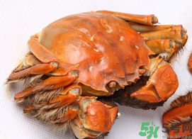 河蟹死了一天能吃嗎？河蟹死了多久不能吃？