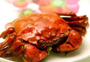 陽(yáng)澄湖大閘蟹哪里買？哪里能買到正宗的陽(yáng)澄湖大閘蟹？