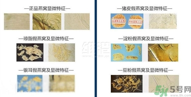 去香港買燕窩哪里好？香港哪里買燕窩比較好正宗？