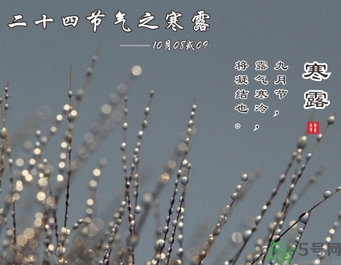寒露是什么意思？寒露是幾月幾日