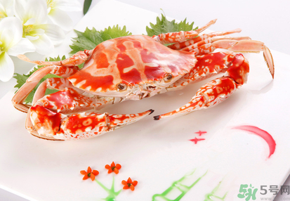 梭子蟹和花蟹的區(qū)別？梭子蟹和花蟹哪個好吃？