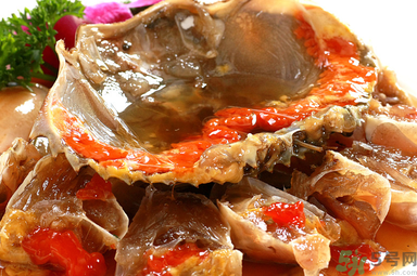 膏蟹是河蟹還是海蟹？膏蟹是什么蟹？