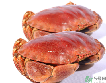 面包蟹多少錢一斤？面包蟹多少錢一只？