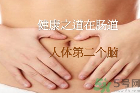 引起腸道老化的原因是什么？四種人腸道老化快