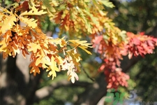 秋燥皮膚癢吃什么好？秋燥4妙招保護(hù)皮膚