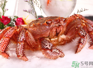 海蟹死了可以吃嗎？海蟹死了多久還能吃？