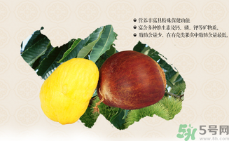 板栗和什么一起泡酒好？板栗泡酒的功效與作用有哪些？