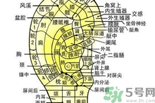 每天揉耳朵有什么好處？?揉耳朵的正確方法是什么？