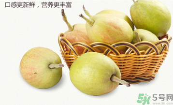 孕婦能吃香梨嗎？香梨孕婦可以吃嗎？