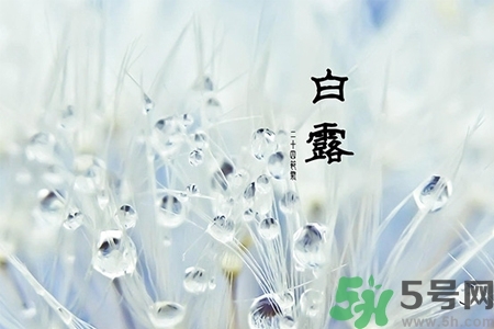 白露節(jié)吃什么？白露節(jié)的傳統(tǒng)美食有哪些？