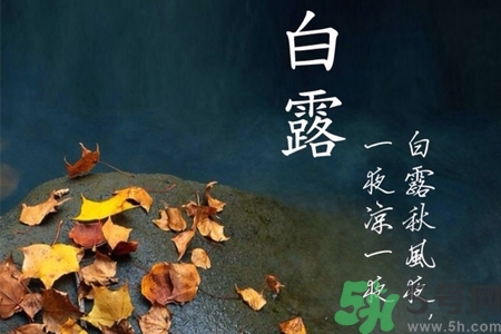 白露節(jié)吃什么？白露節(jié)的傳統(tǒng)美食有哪些？