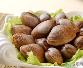 蛤蜊是發(fā)物嗎？手術(shù)后可以吃蛤蜊嗎？