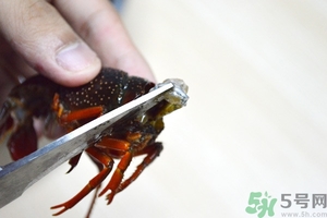 活蝦怎么處理干凈蝦線？活蝦怎么去蝦線？