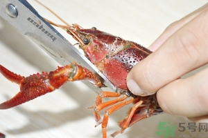 活蝦怎么處理干凈蝦線？活蝦怎么去蝦線？