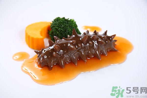 活海參和干海參哪個(gè)好？活海參好還是干海參好？
