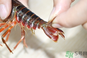 活蝦怎么處理干凈蝦線？活蝦怎么去蝦線？