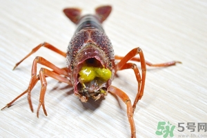 活蝦怎么處理干凈蝦線？活蝦怎么去蝦線？