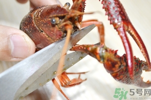 活蝦怎么處理干凈蝦線？活蝦怎么去蝦線？