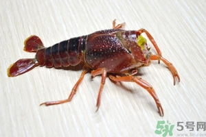 活蝦怎么處理干凈蝦線？活蝦怎么去蝦線？