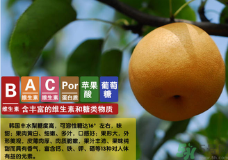 豐水梨的皮能吃嗎？吃梨子皮有什么好處？