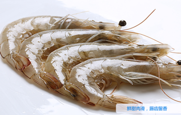 海蝦怎么保存？活海蝦怎么保存？