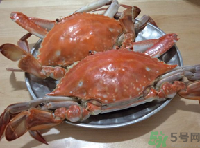 海蟹蒸多長時(shí)間？海蟹蒸多長時(shí)間最好吃？