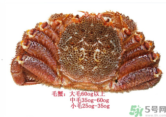 毛蟹蒸多長(zhǎng)時(shí)間？毛蟹蒸多久會(huì)熟？