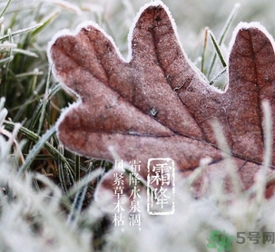 霜降出生的孩子好嗎？霜降出生的寶寶怎么取名？