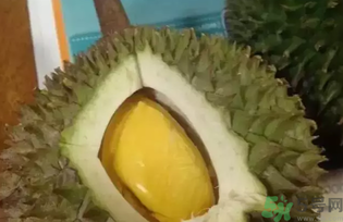 榴蓮吃多了會怎么樣？榴蓮吃多了好嗎？