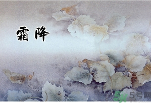 霜降為什么要吃柿子？霜降吃柿子有什么好處？