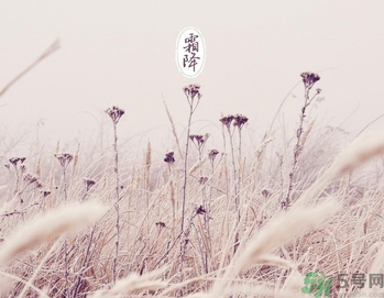 霜降為什么要吃柿子？霜降吃柿子有什么好處？