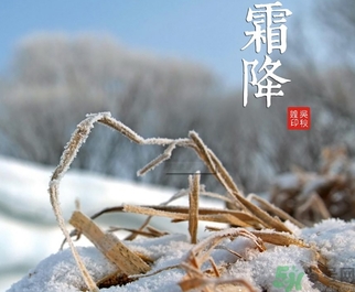 霜降為什么要吃柿子？霜降吃柿子有什么好處？